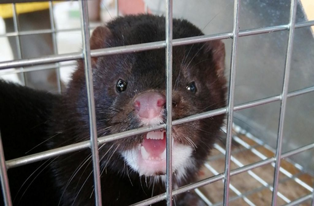 WhatsApp Image 2026-02-04 at 08 WhatsApp Image 2026-02-04 at 08