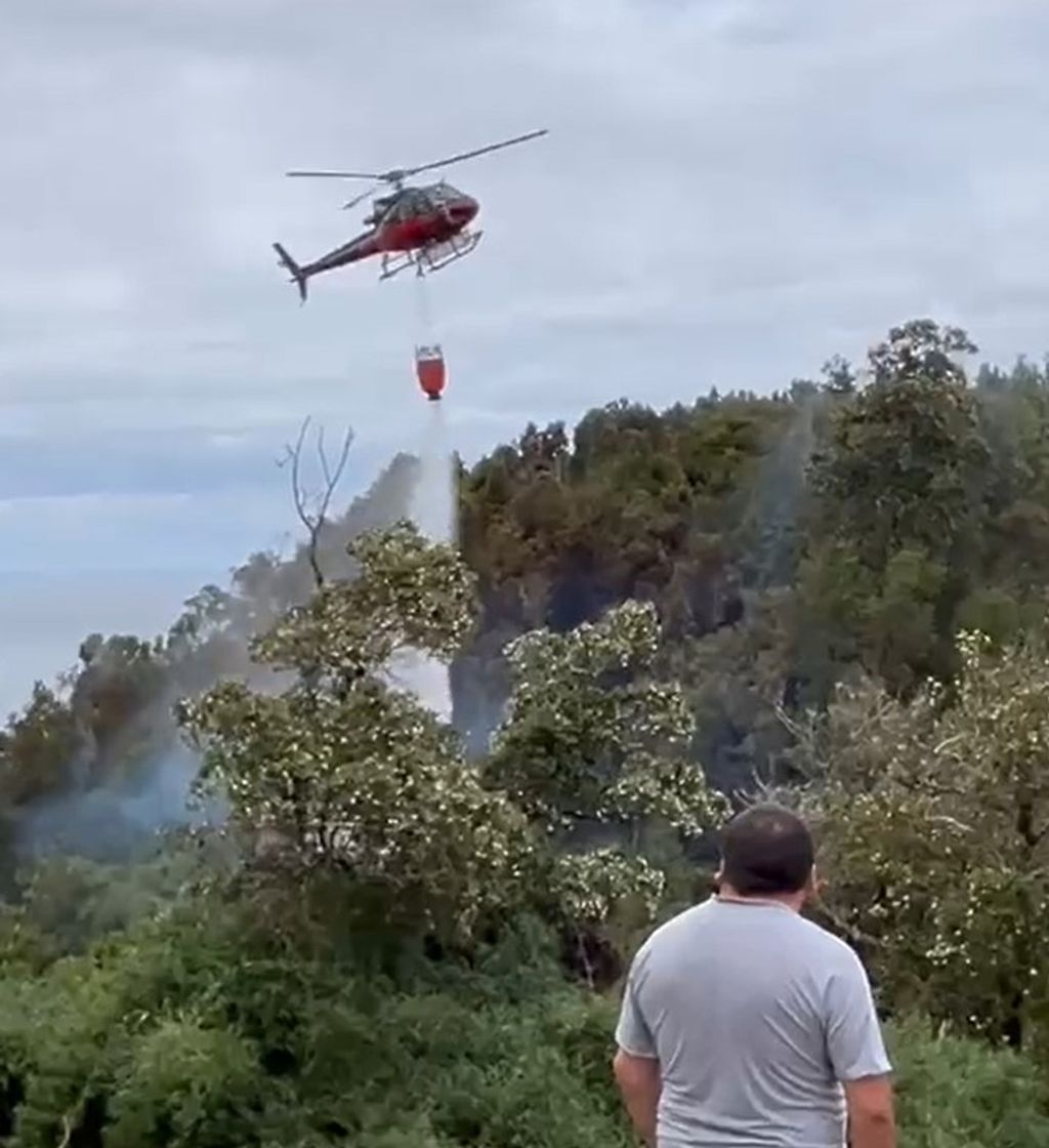 MORRO LOBOS MORRO LOBOS
