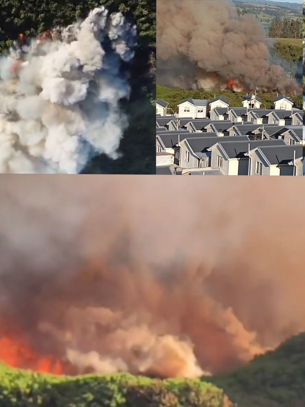 Polish_20241214_213809830 Polish_20241214_213809830