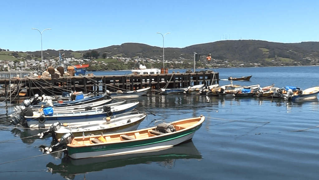 PESCA ANCUD PESCA ANCUD