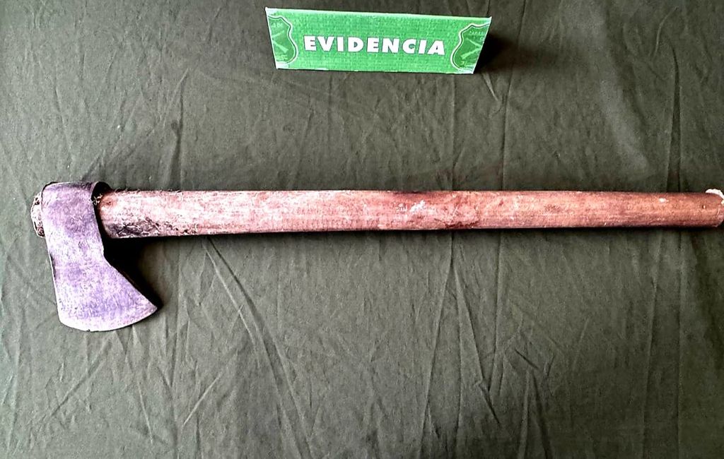 Imagen de WhatsApp 2025-11-24 a las 14 Imagen de WhatsApp 2025-11-24 a las 14