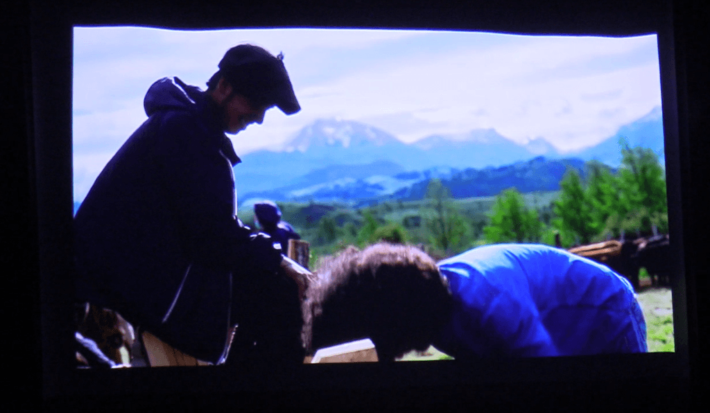 FOTO JINETE FOTO JINETE