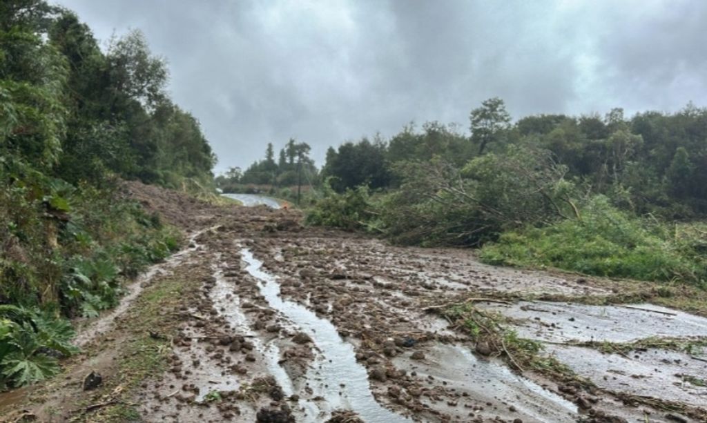 497722044_1260456199413605_7377524180646722646_n 497722044_1260456199413605_7377524180646722646_n