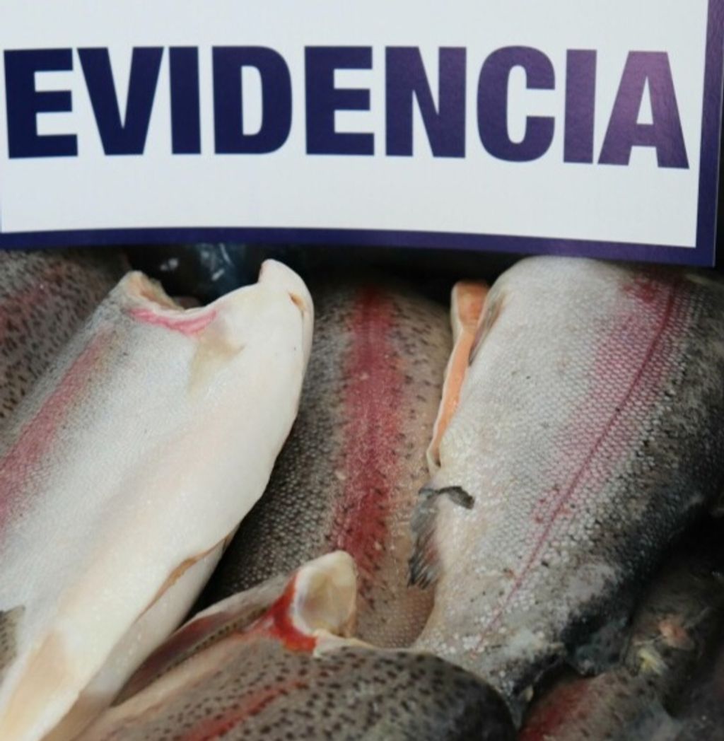 1209061_edit_202933043357585 1209061_edit_202933043357585