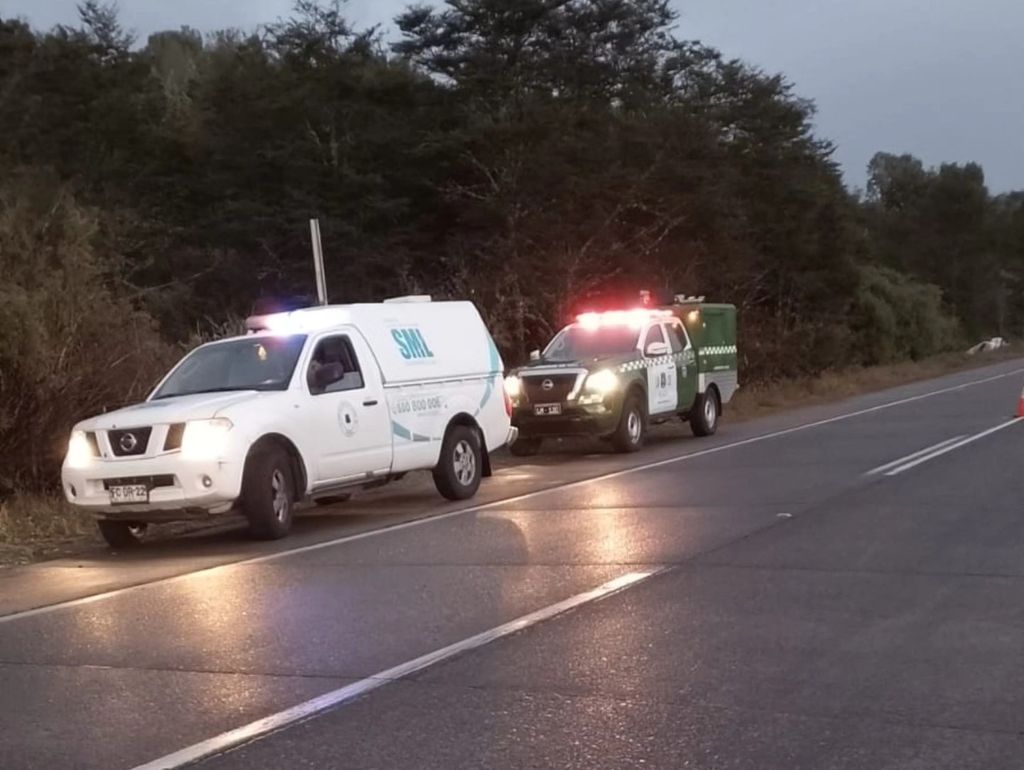 636754259_1341707891325243_2807069295343739923_n 636754259_1341707891325243_2807069295343739923_n