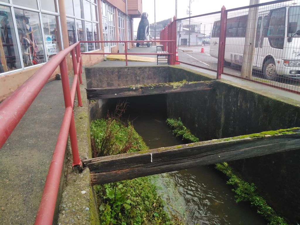 ESTERO LA TOMA ESTERO LA TOMA
