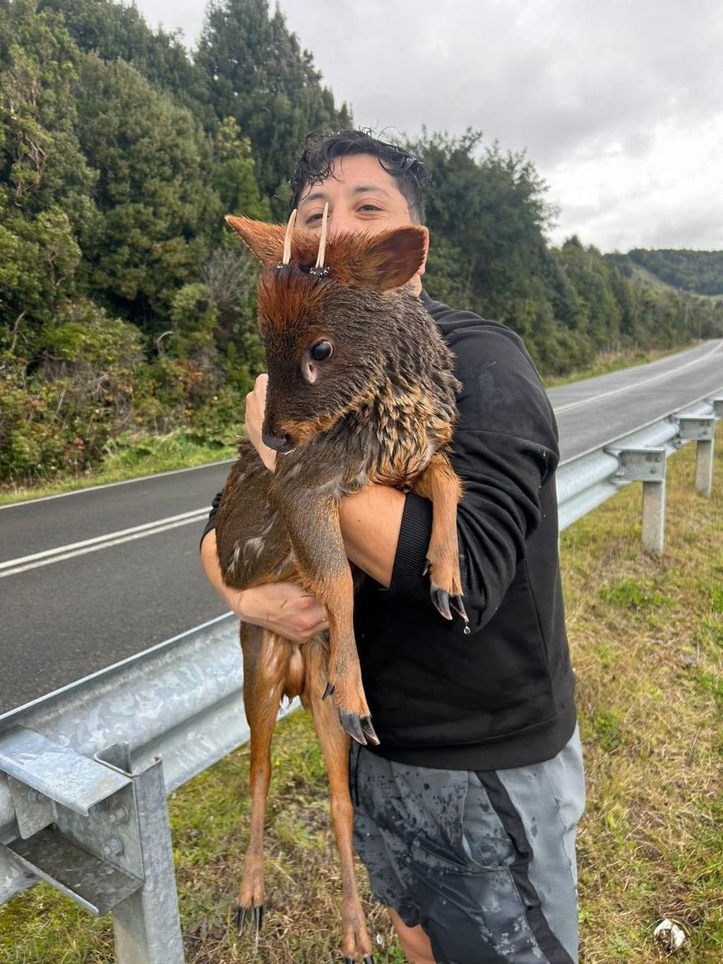 PUDU PUDU