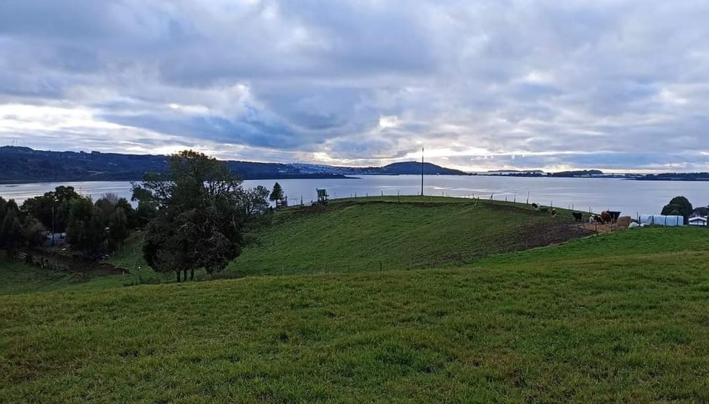 Screenshot_20240617_111552 Screenshot_20240617_111552