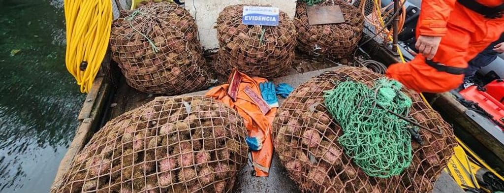 SERNAPESCA SERNAPESCA