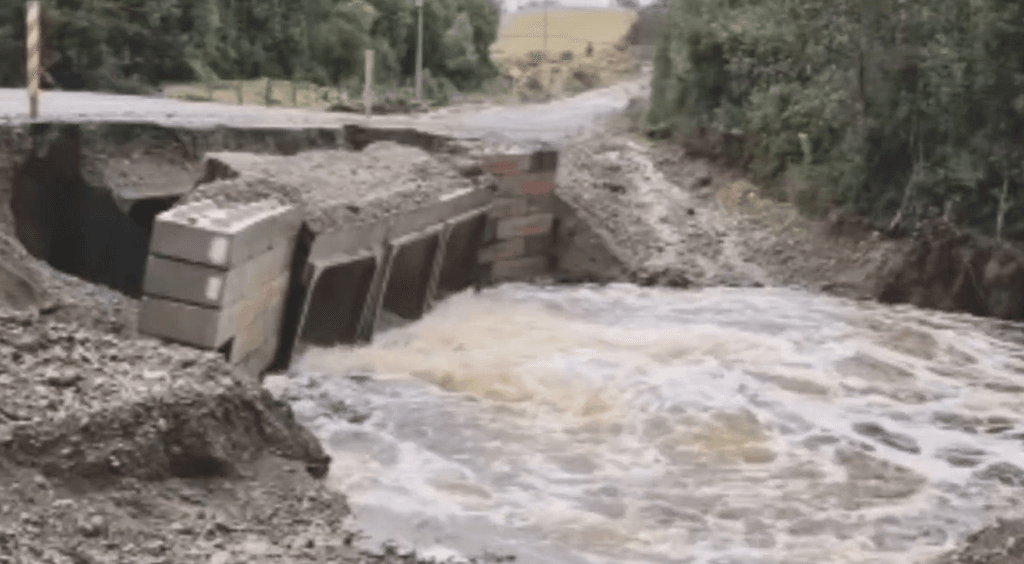 YERBAS BUENAS YERBAS BUENAS