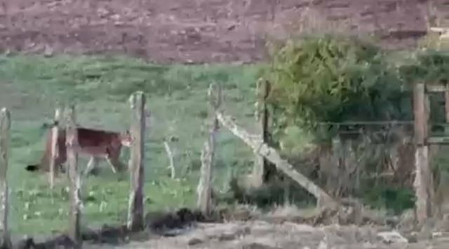 612908790_1494823669311644_6076359025935700783_n