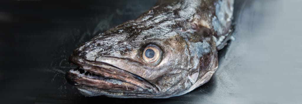 7261_merluza-cabeza 7261_merluza-cabeza