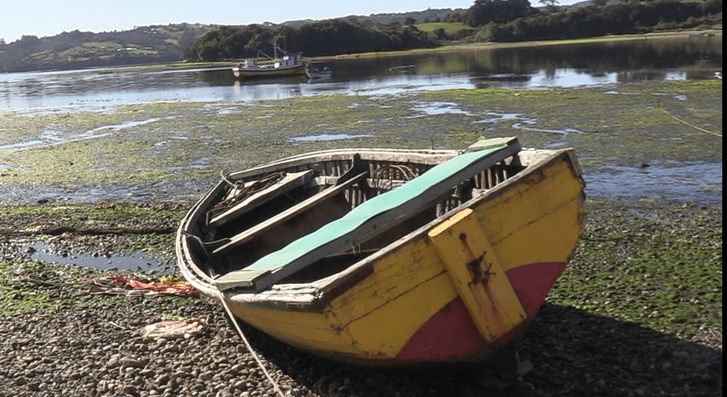 FOTO QUETALMAHUE FOTO QUETALMAHUE