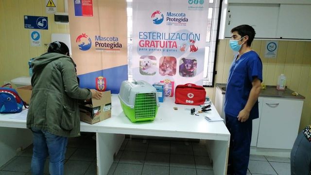 Imagen de WhatsApp 2025-12-09 a las 10 Imagen de WhatsApp 2025-12-09 a las 10