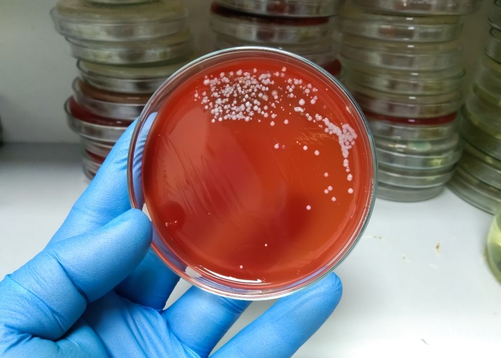 Screenshot_20240607_212125 Screenshot_20240607_212125