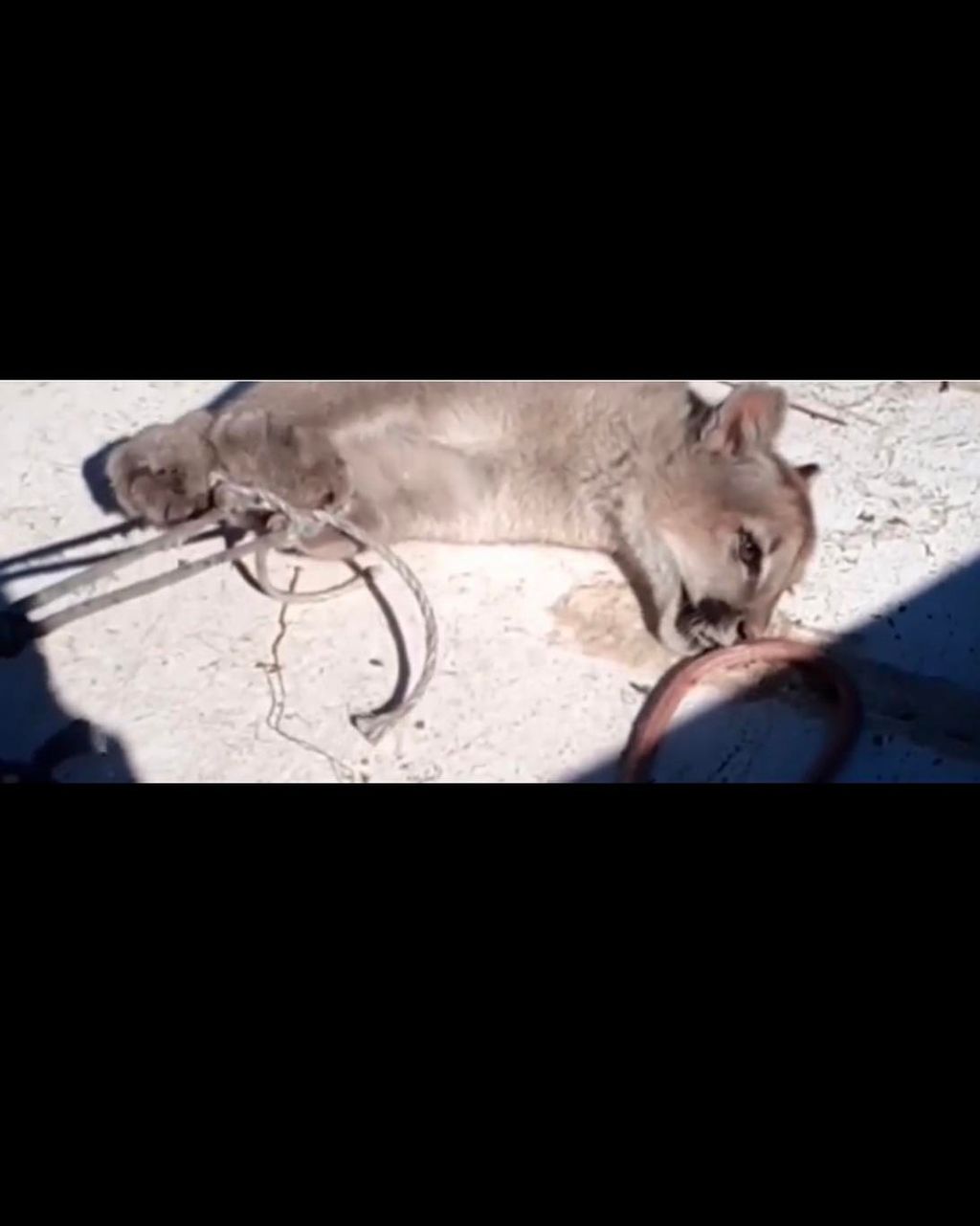 591440434_1168315988752401_5809568242517749190_n 591440434_1168315988752401_5809568242517749190_n