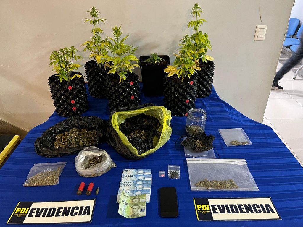 Imagen de WhatsApp 2025-04-29 a las 22 Imagen de WhatsApp 2025-04-29 a las 22