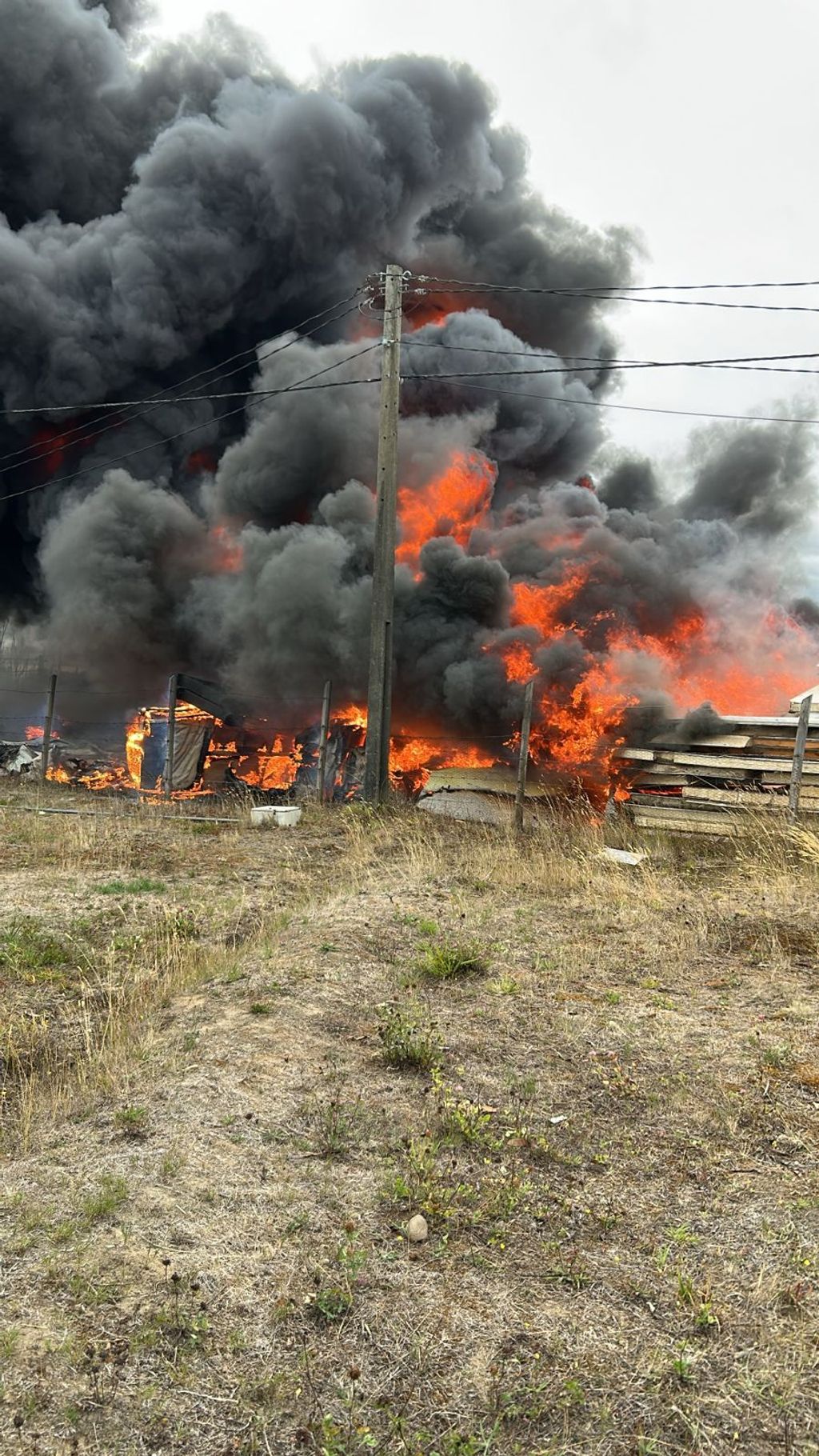 WhatsApp Image 2026-02-16 at 18