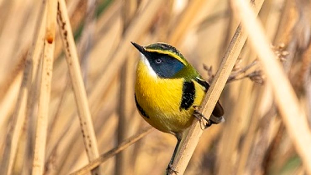 FOTO4 - 30x40 Katherine Rojas2 FOTO4 - 30x40 Katherine Rojas2