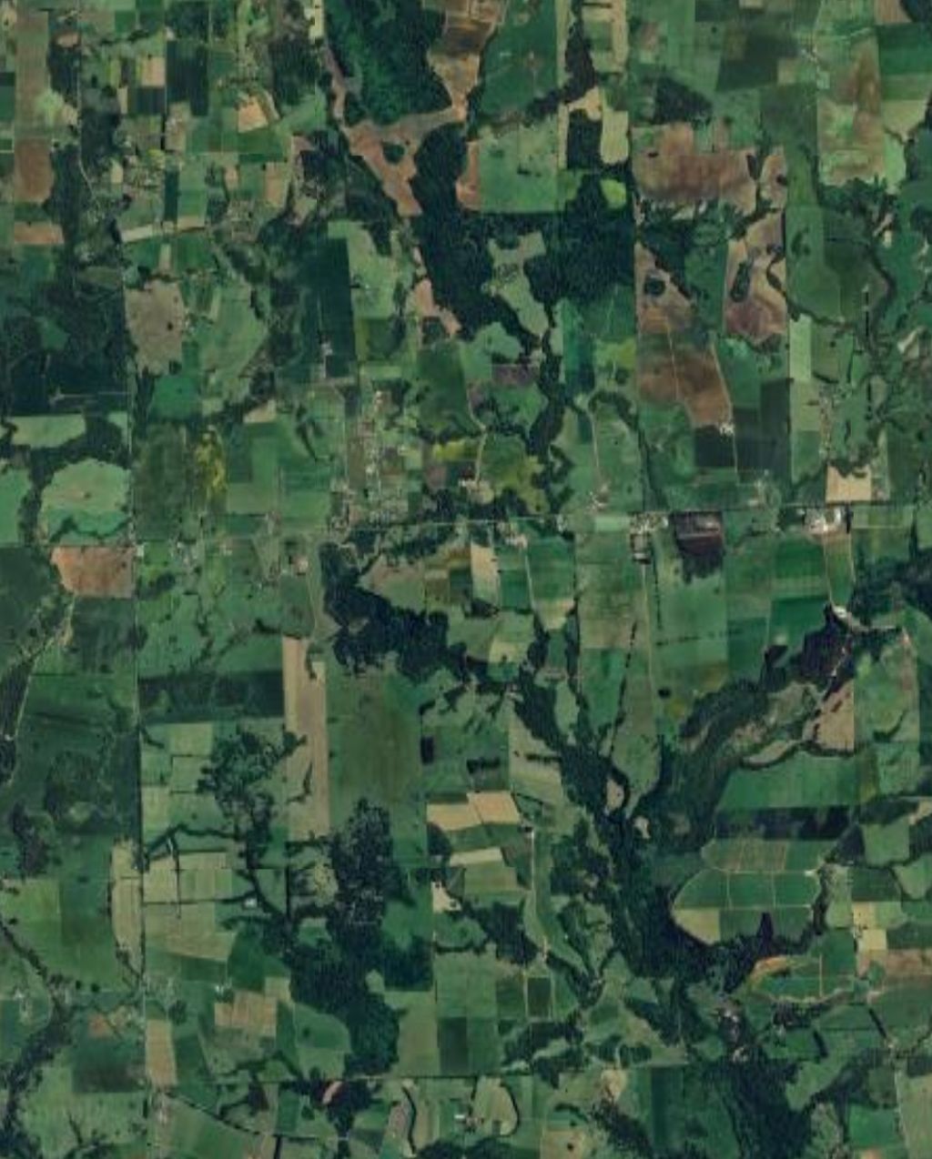 Screenshot_20241206_221006 Screenshot_20241206_221006