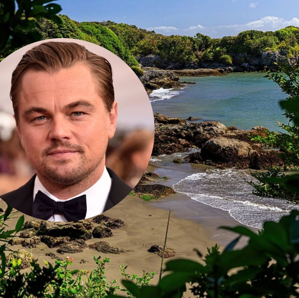 Polish_20250617_192447693 Polish_20250617_192447693