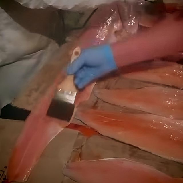1000376114 1000376114