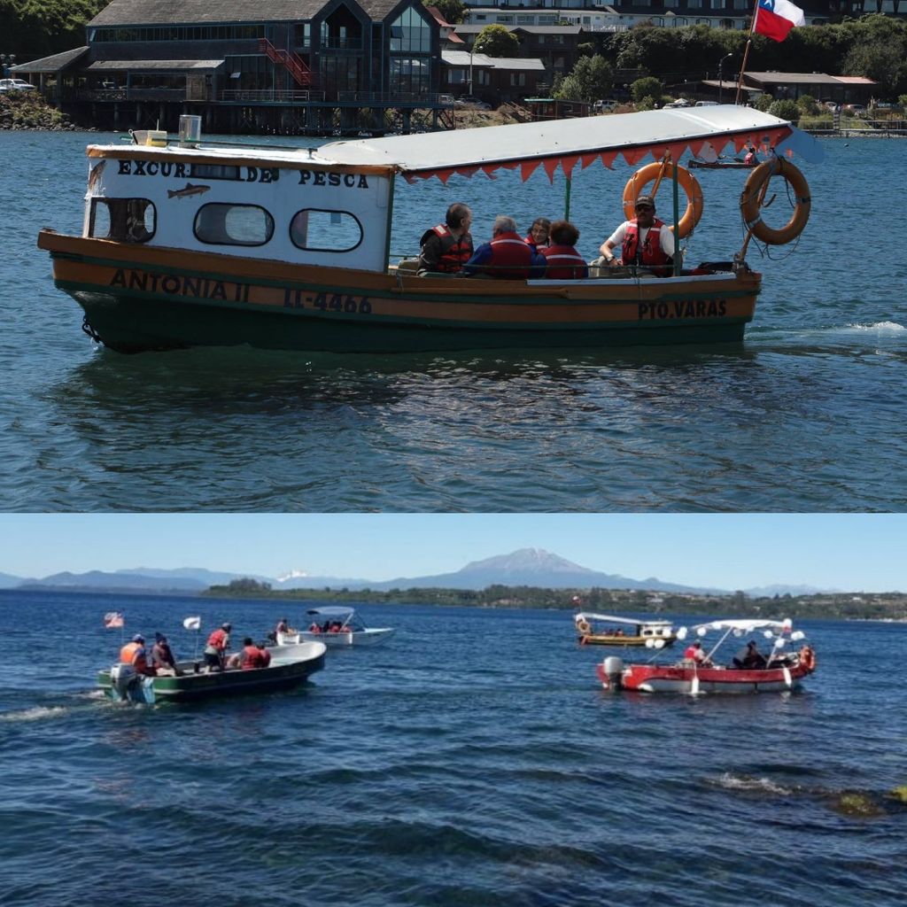 Polish_20250105_211539463 Polish_20250105_211539463