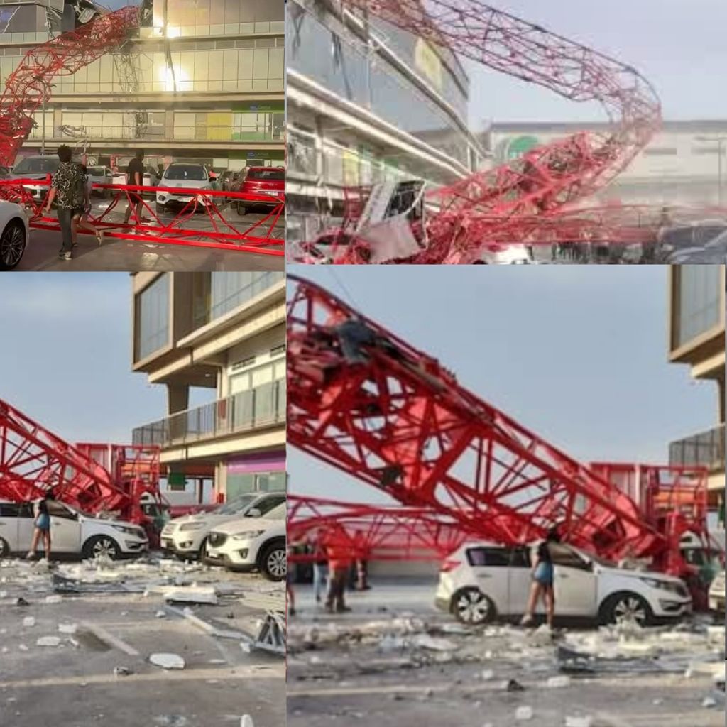 Polish_20250125_222156026 Polish_20250125_222156026