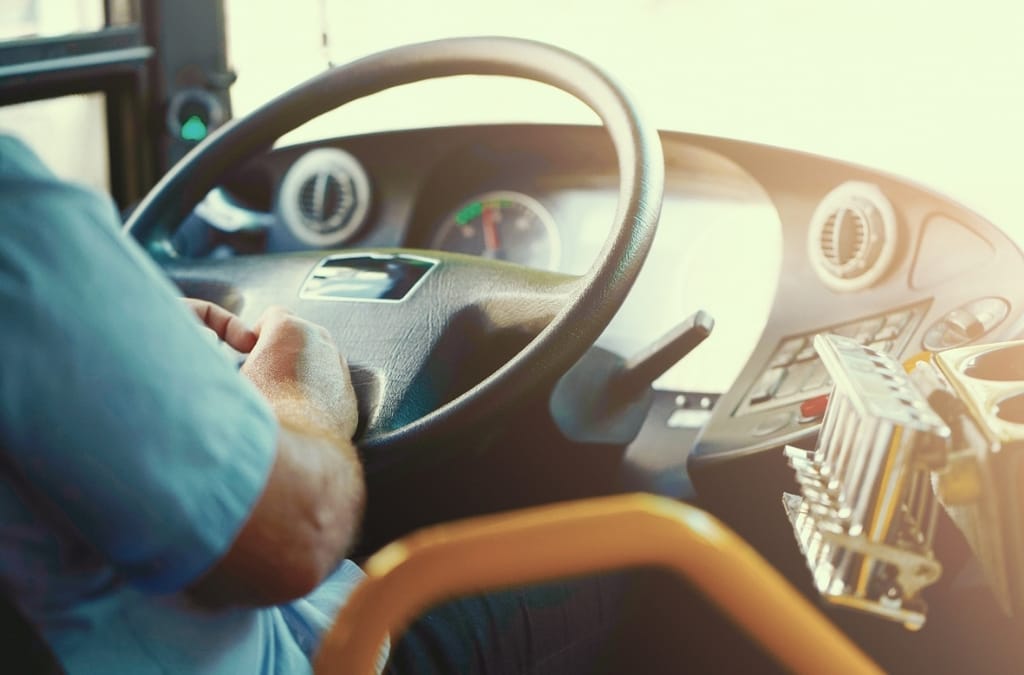 IMG_20230808_210357 IMG_20230808_210357