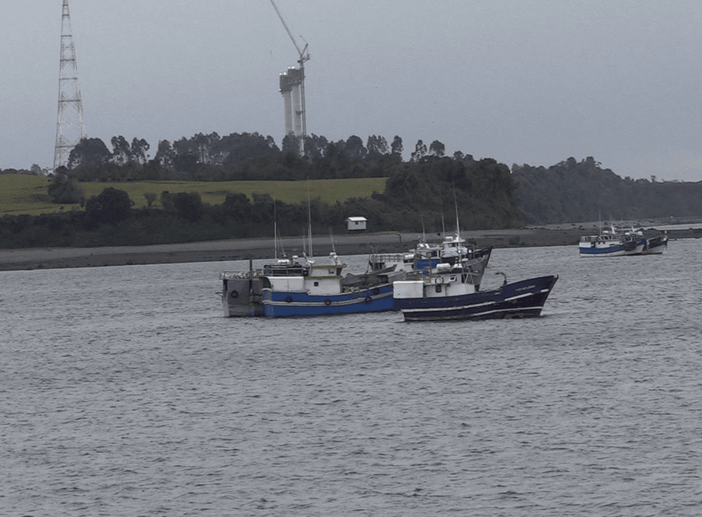 REINETEROS DALCAHUE REINETEROS DALCAHUE