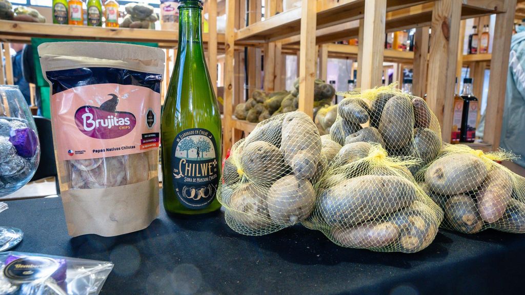 Sidra Chilwe en ExpoMundoRural 2024 (1) Sidra Chilwe en ExpoMundoRural 2024 (1)