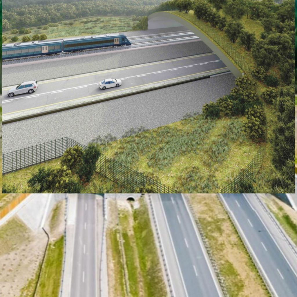 Polish_20250604_141438605 Polish_20250604_141438605