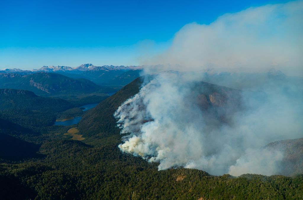 INCENDIO FORESTAL INCENDIO FORESTAL
