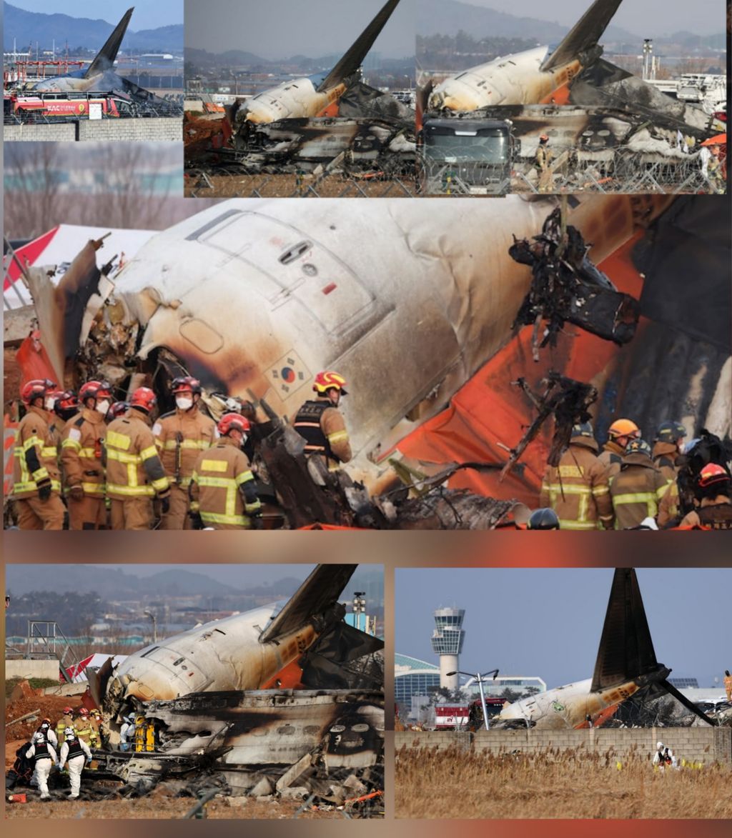 Polish_20241229_122154801 Polish_20241229_122154801