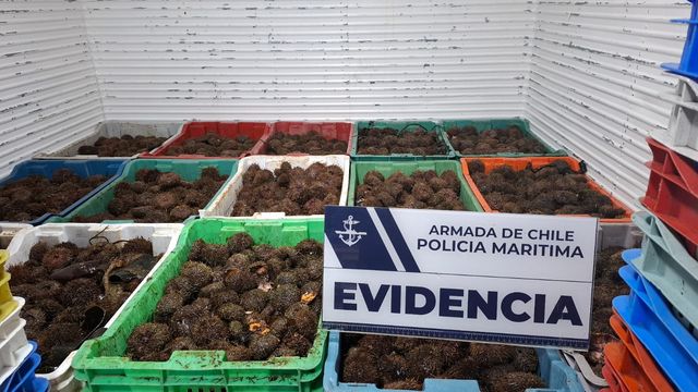 Imagen de WhatsApp 2025-07-28 a las 15