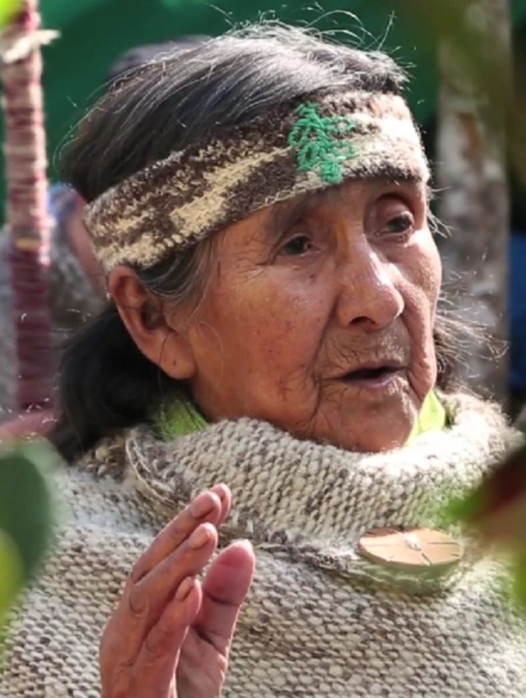 IMG_20241110_130809 IMG_20241110_130809