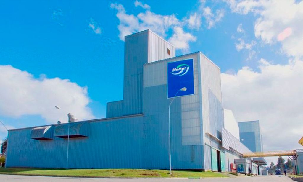 Sindicato-de-Biomar-critica-decision-de-cierre-e-inicia-conversaciones-para-mejorar-condiciones-de-salida-de-trabajadores Sindicato-de-Biomar-critica-decision-de-cierre-e-inicia-conversaciones-para-mejorar-condiciones-de-salida-de-trabajadores