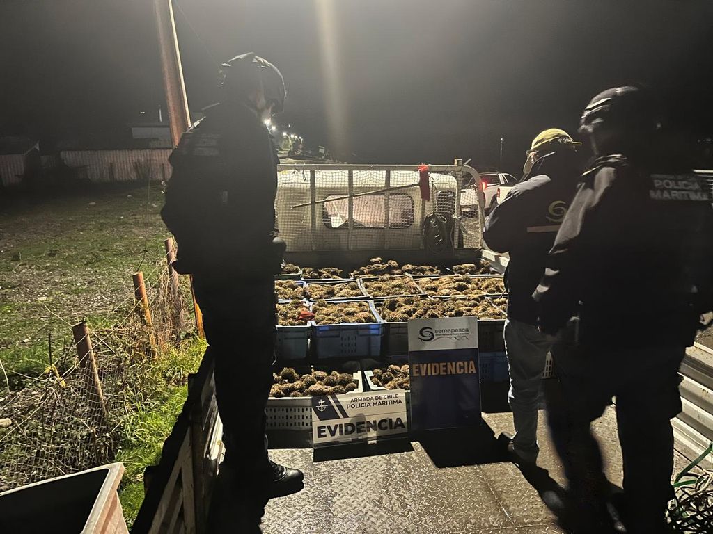 Imagen de WhatsApp 2025-06-05 a las 09 Imagen de WhatsApp 2025-06-05 a las 09