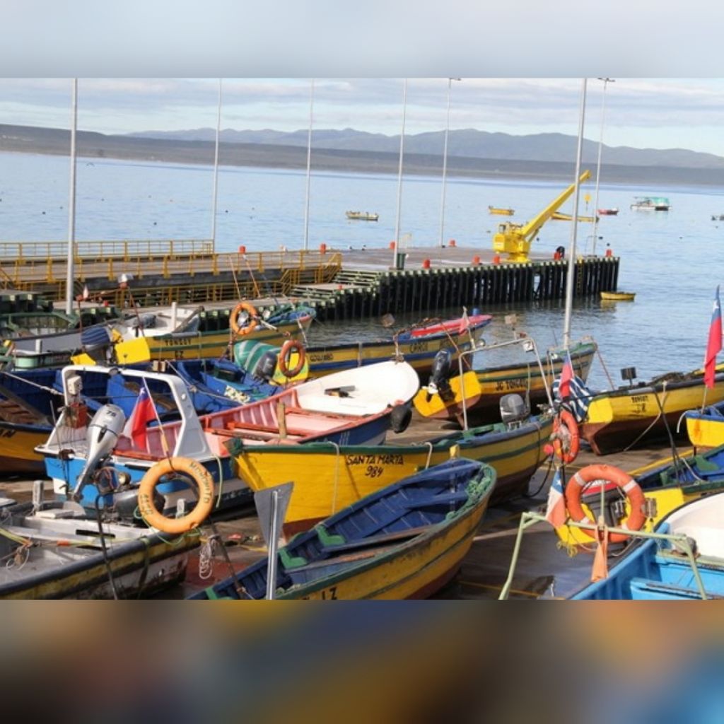 Polish_20241227_123208189 Polish_20241227_123208189