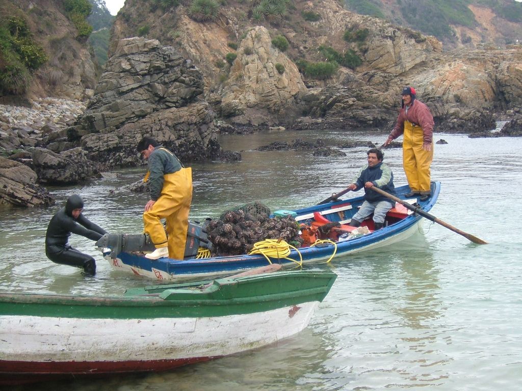 Pescadores (1) Pescadores (1)