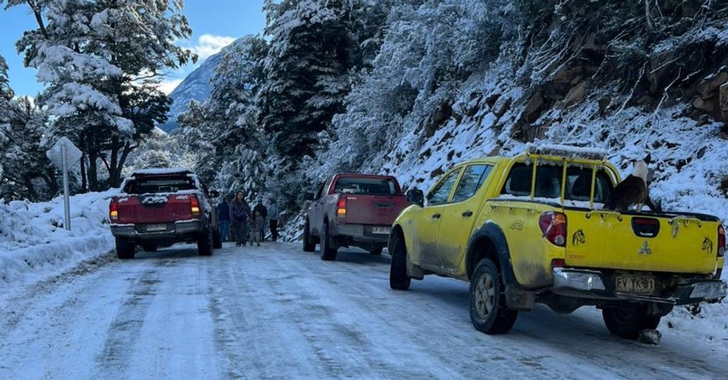 RUTA PALENA RUTA PALENA