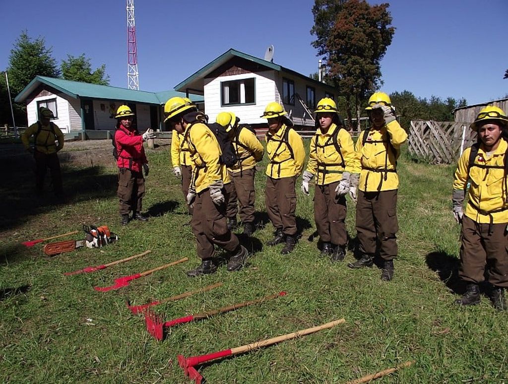 conaf  okok conaf  okok