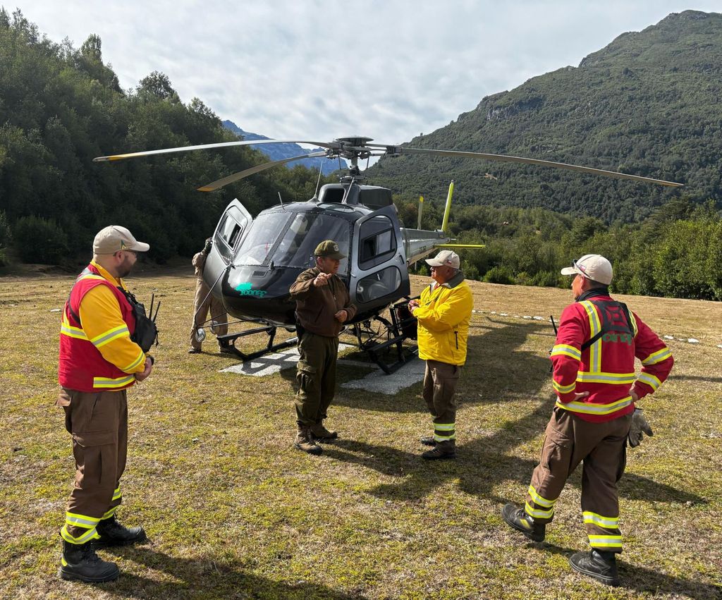 CONAF OKok CONAF OKok