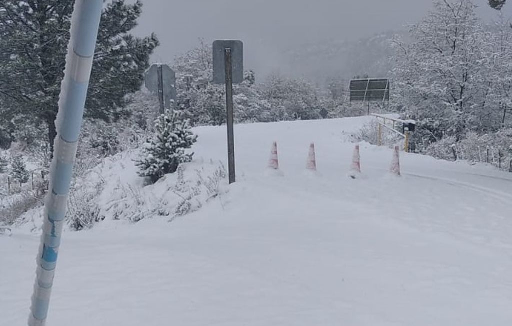 PALENA NIEVE PALENA NIEVE