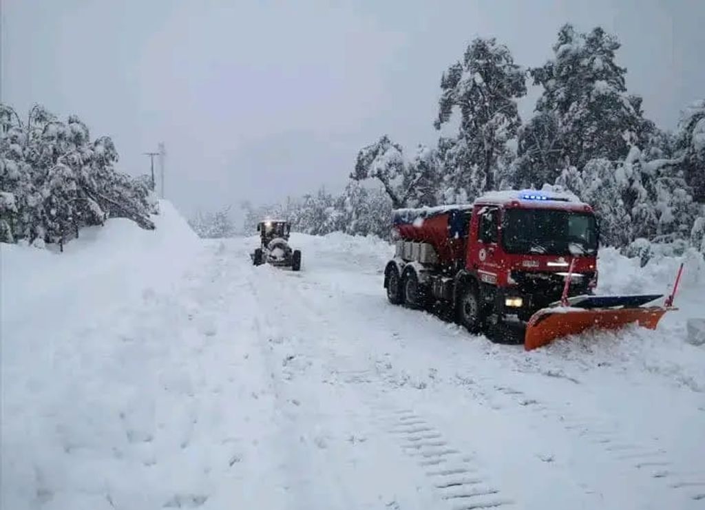 NIEVE PALENA NIEVE PALENA