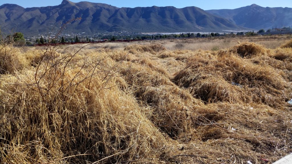 c6076265-018a-44bd-9a1c-3b05f449366f c6076265-018a-44bd-9a1c-3b05f449366f