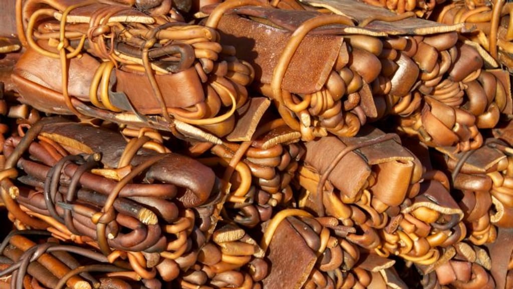 Cochayuyo-737x415 Cochayuyo-737x415