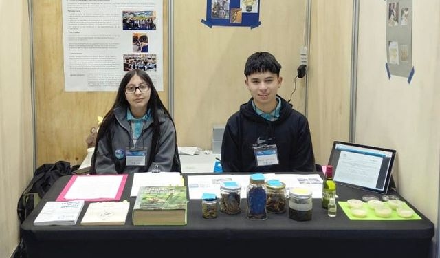 ALUMNOS