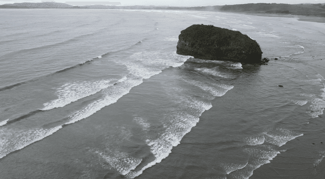MAR BRAVA