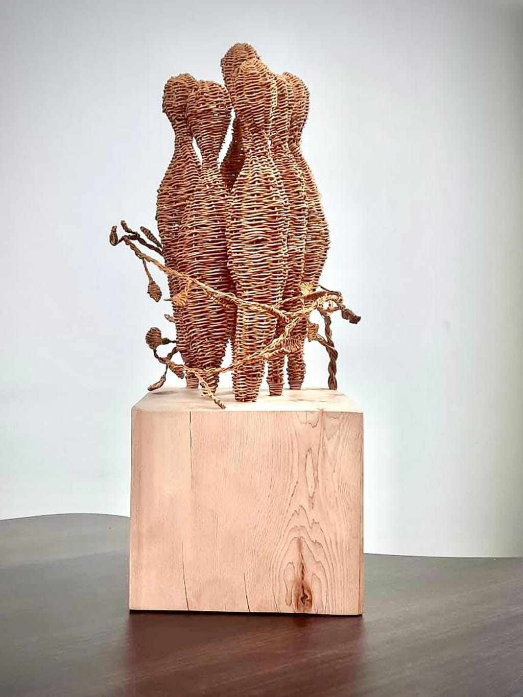 Premio DDHH Premio DDHH